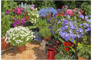 Balkon mit Sommerblumen.